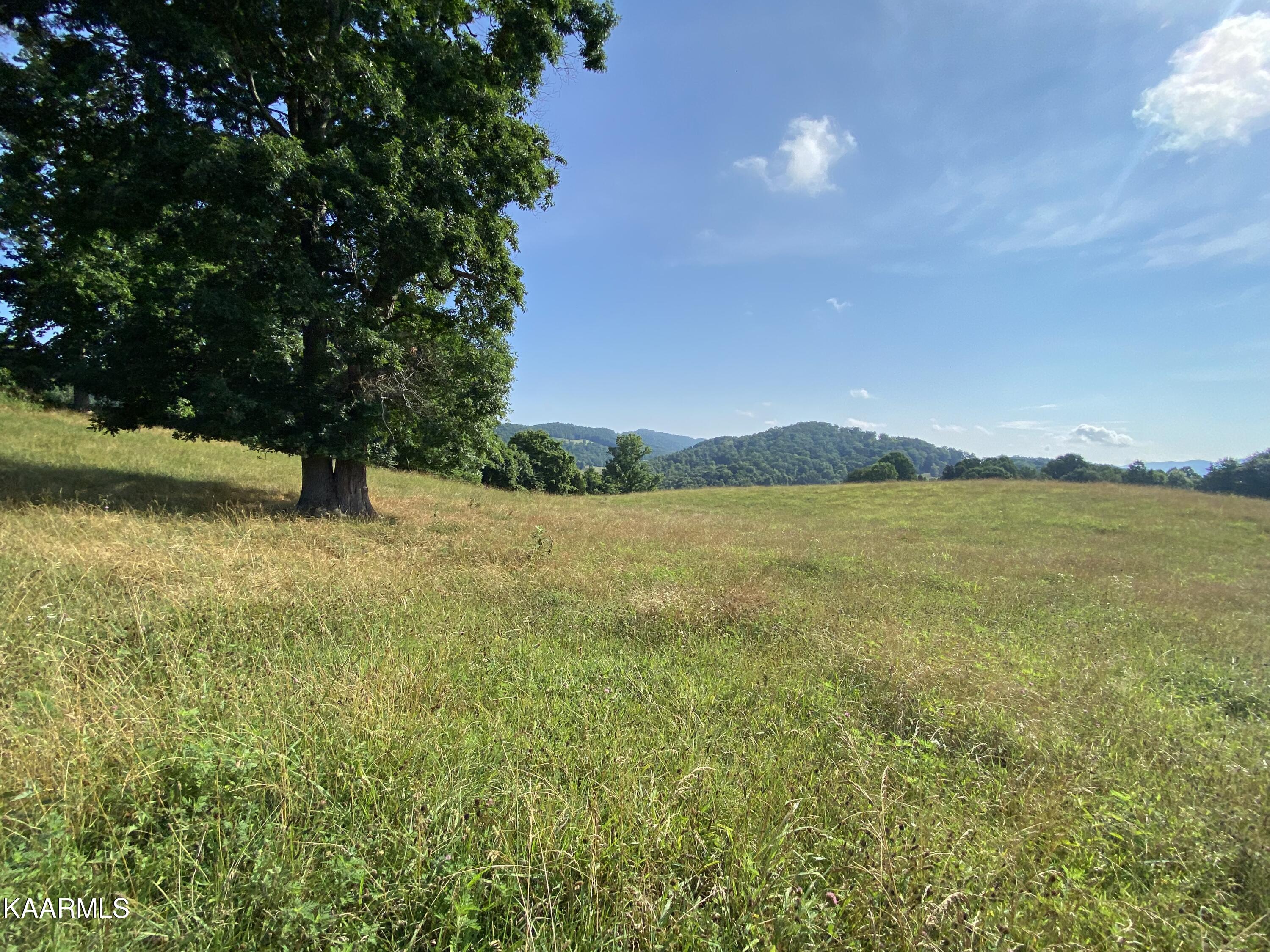 7247 Mulberry Gap Road Tazewell, TN 37879 - Photo 31 of 58 IMG-9148