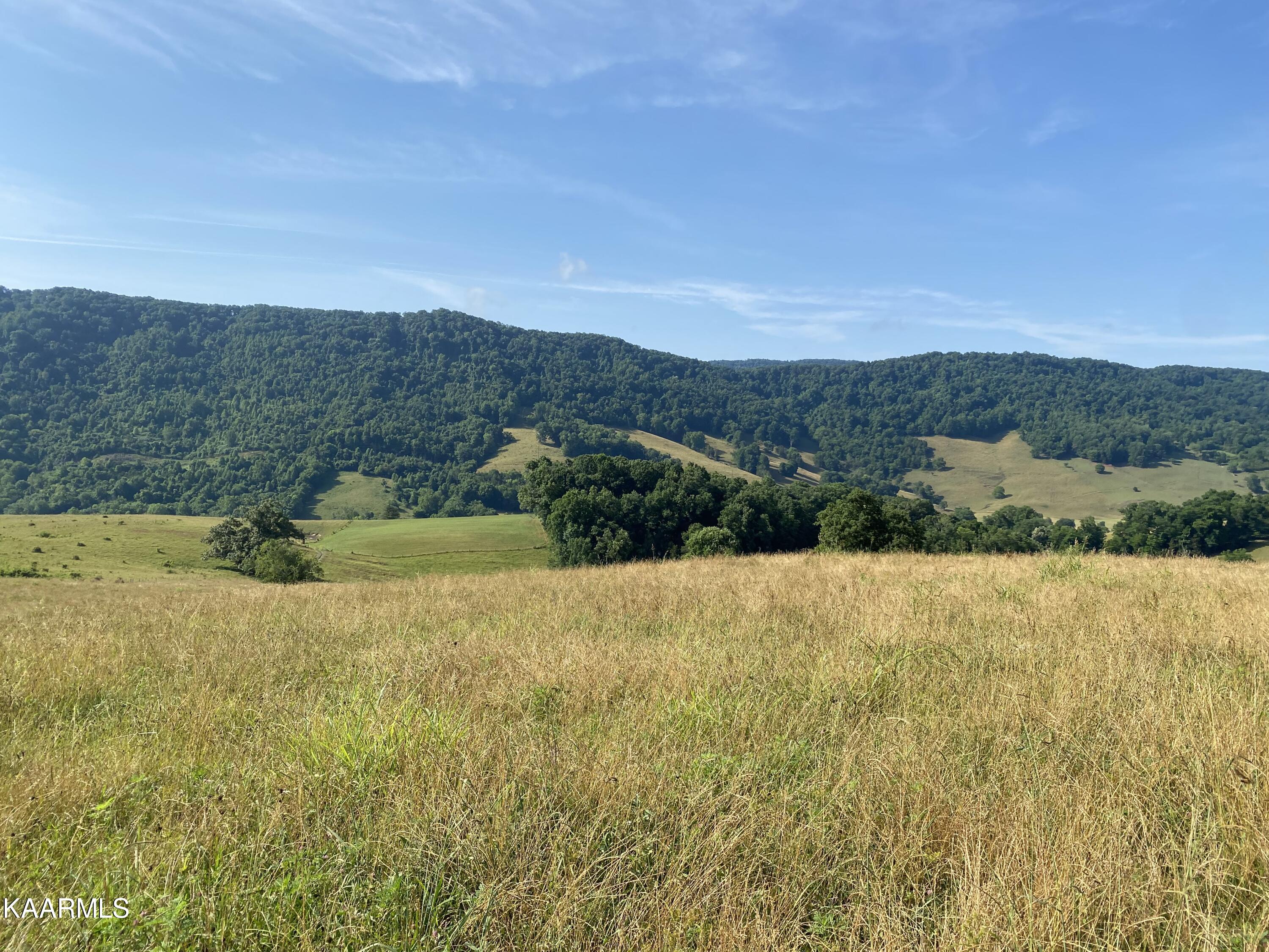 7247 Mulberry Gap Road Tazewell, TN 37879 - Photo 32 of 58 IMG-9193