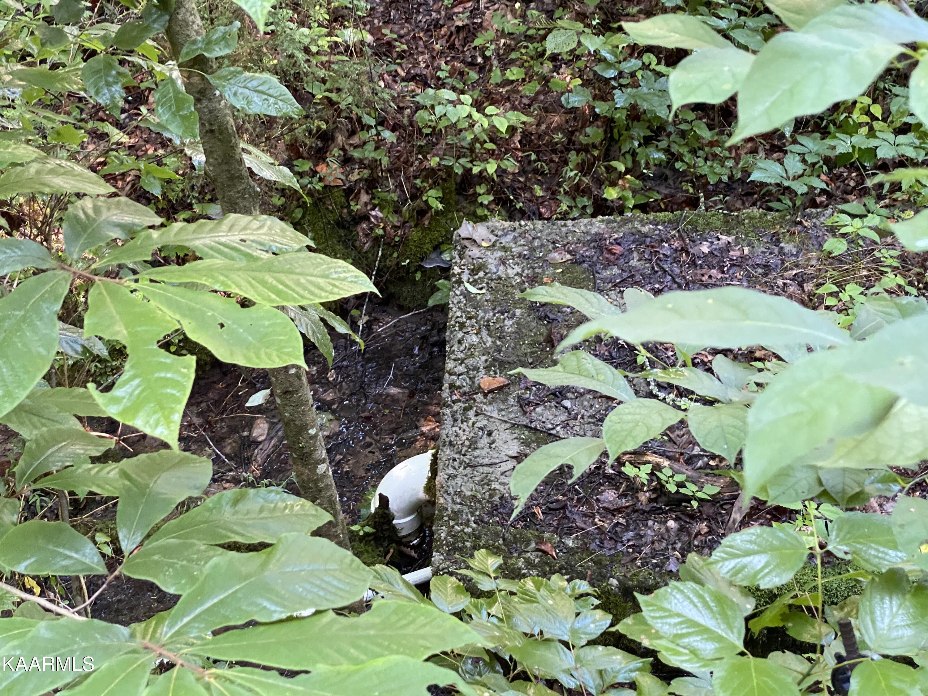 7247 Mulberry Gap Road Tazewell, TN 37879 - Photo 34 of 58 fresh spring water box