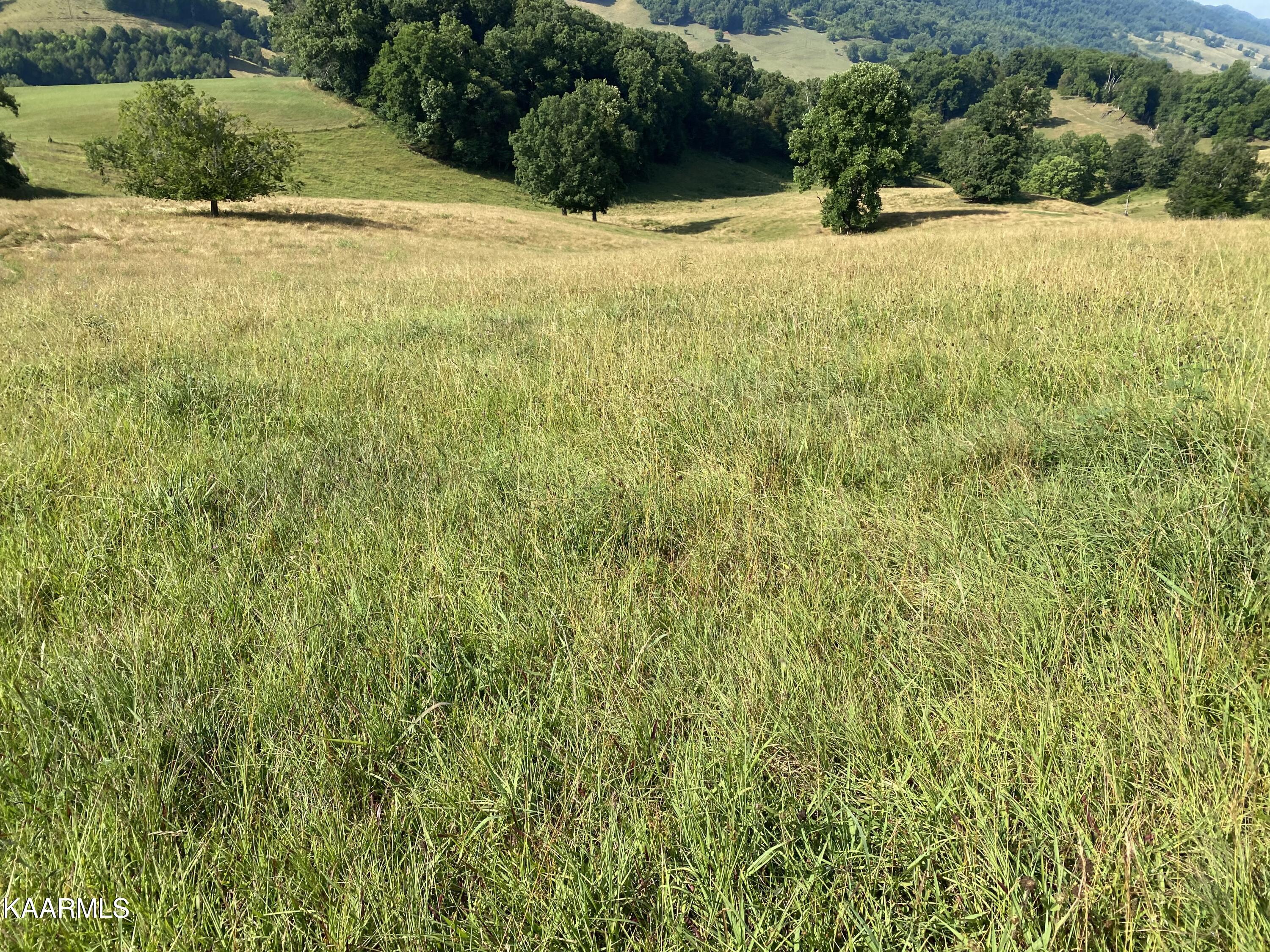 7247 Mulberry Gap Road Tazewell, TN 37879 - Photo 35 of 58 IMG-9197