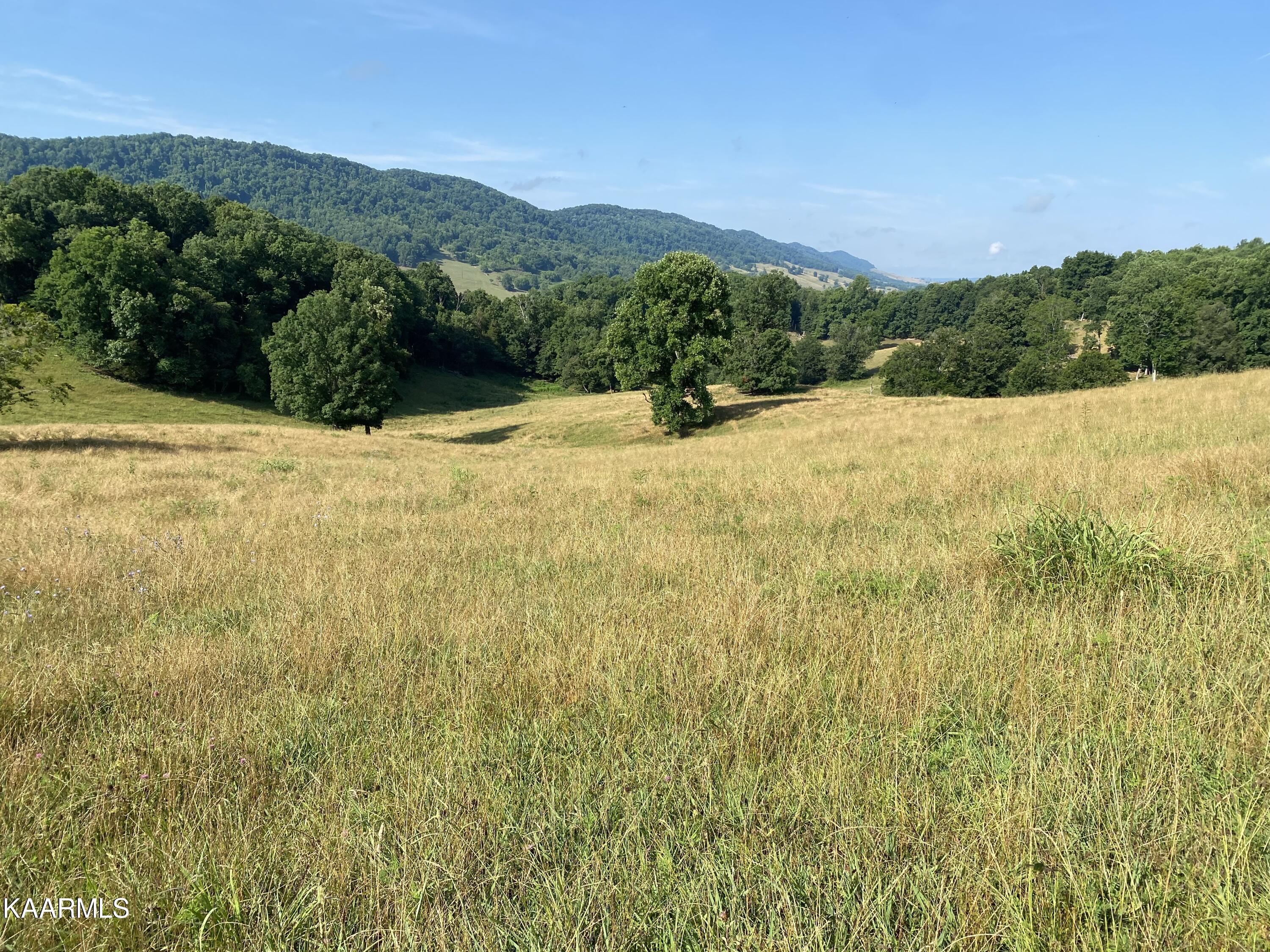 7247 Mulberry Gap Road Tazewell, TN 37879 - Photo 36 of 58 IMG-9200 (1)