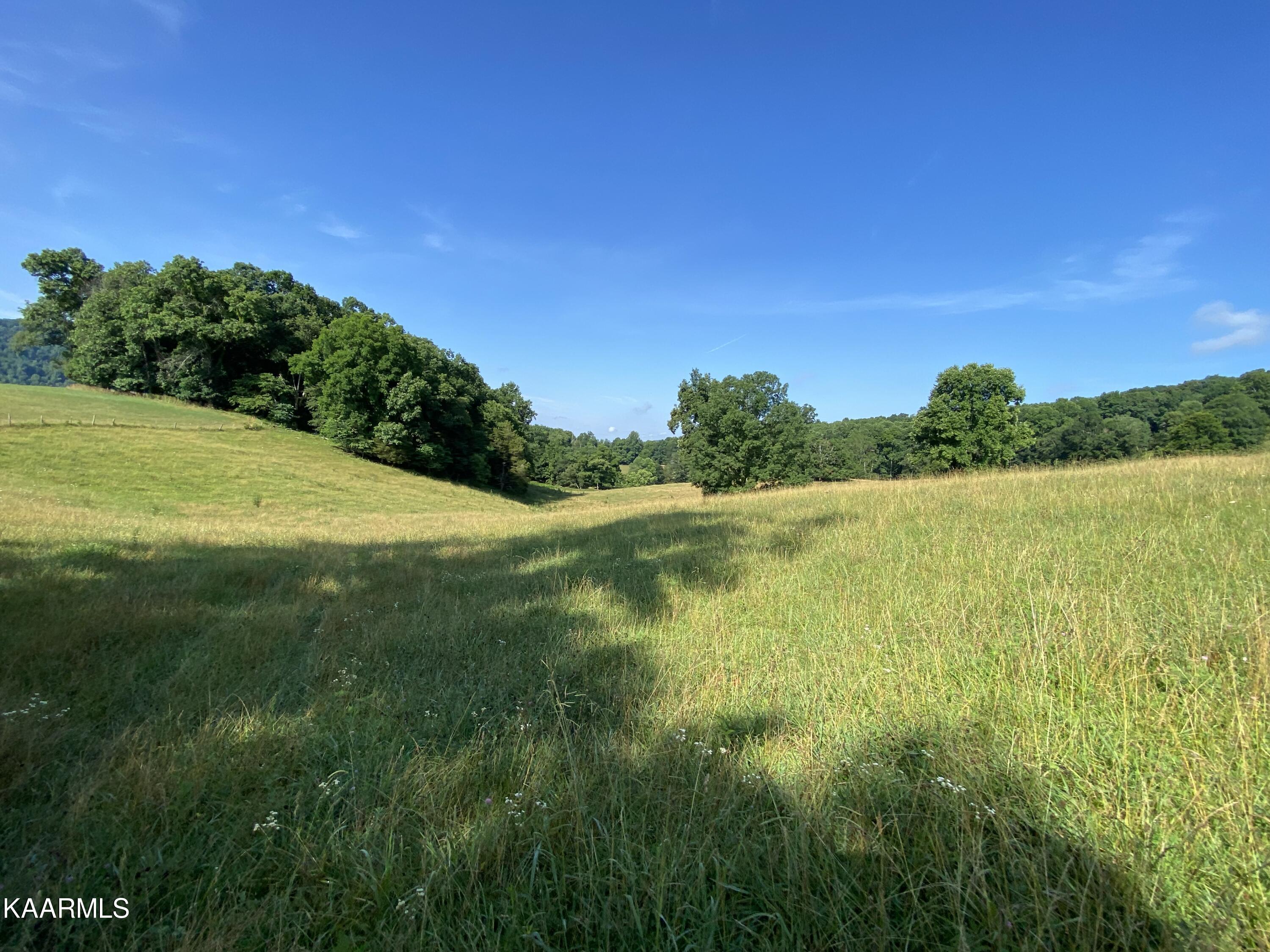 7247 Mulberry Gap Road Tazewell, TN 37879 - Photo 37 of 58 IMG-9208