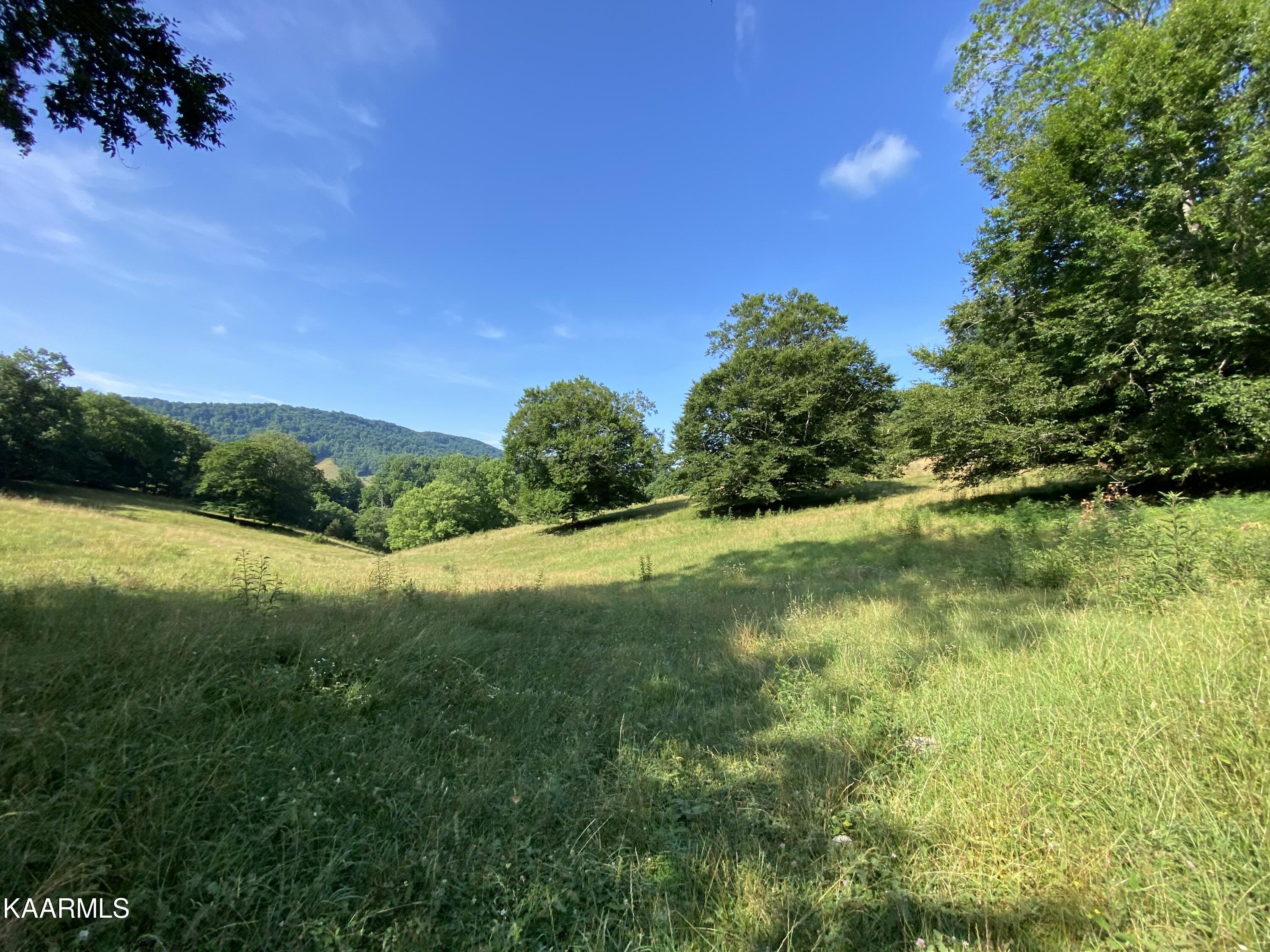 7247 Mulberry Gap Road Tazewell, TN 37879 - Photo 39 of 58 IMG-9231