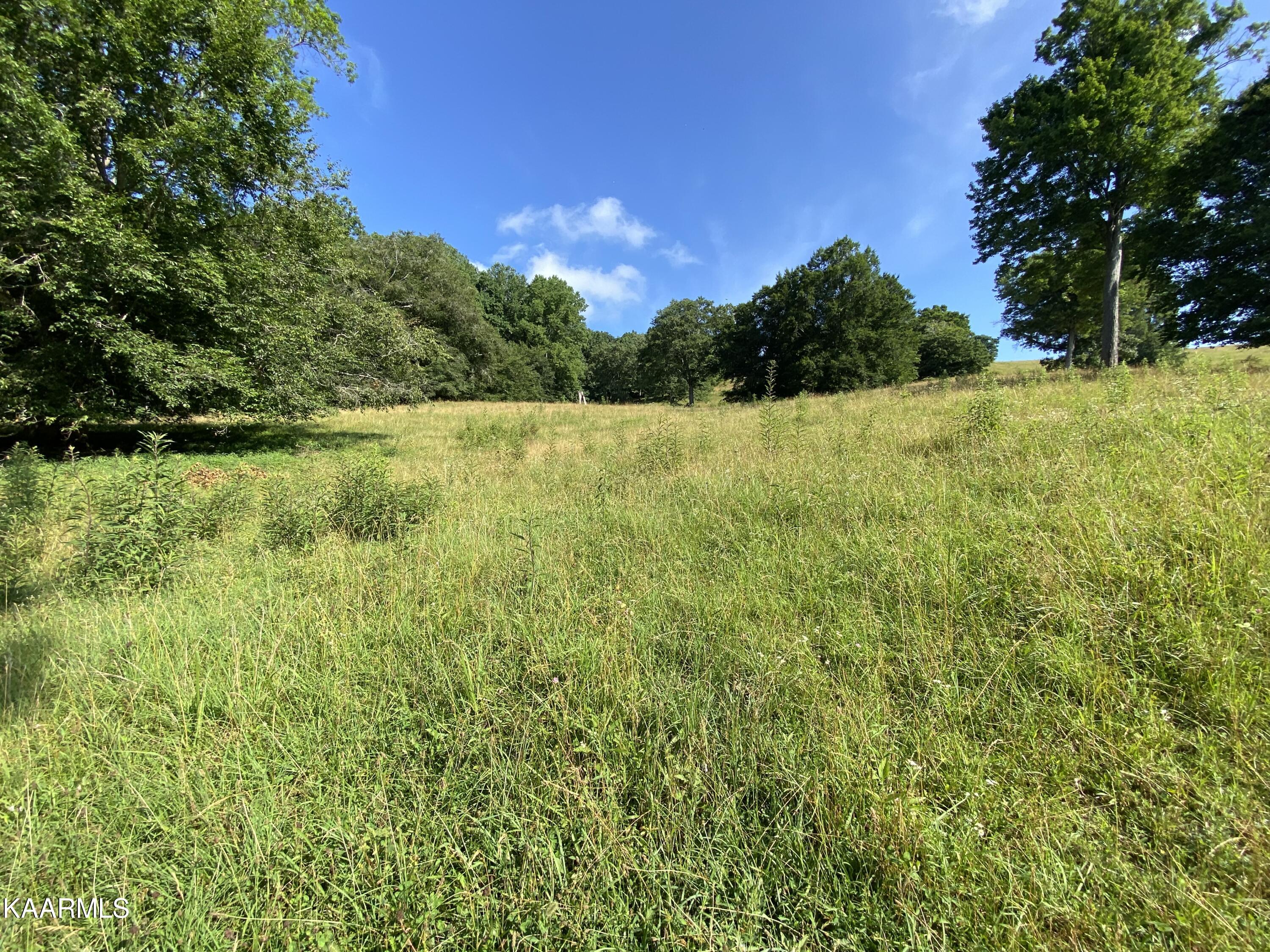 7247 Mulberry Gap Road Tazewell, TN 37879 - Photo 40 of 58 IMG-9233