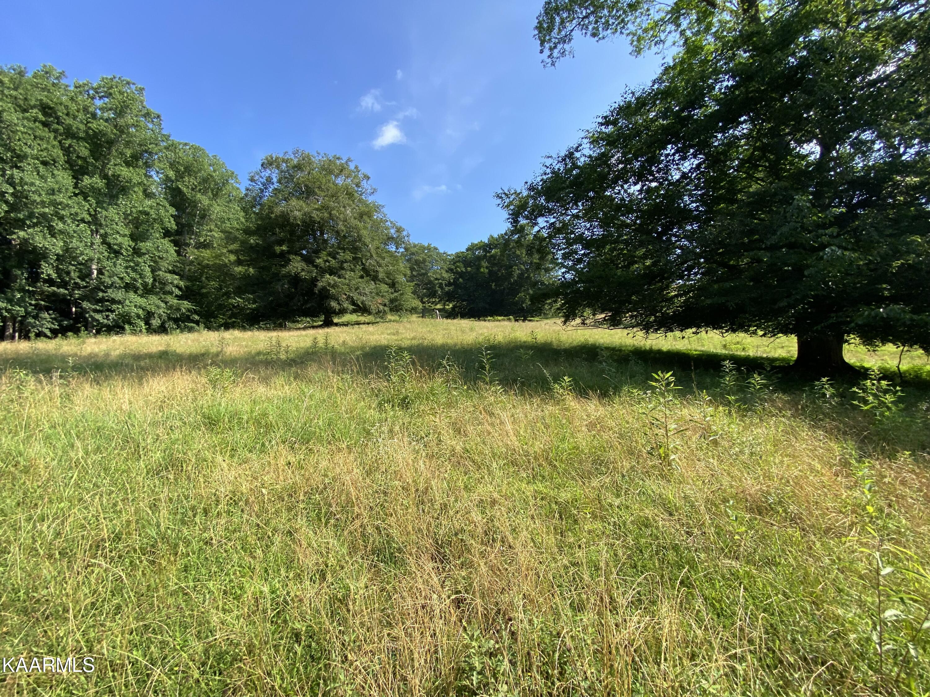 7247 Mulberry Gap Road Tazewell, TN 37879 - Photo 41 of 58 IMG-9235