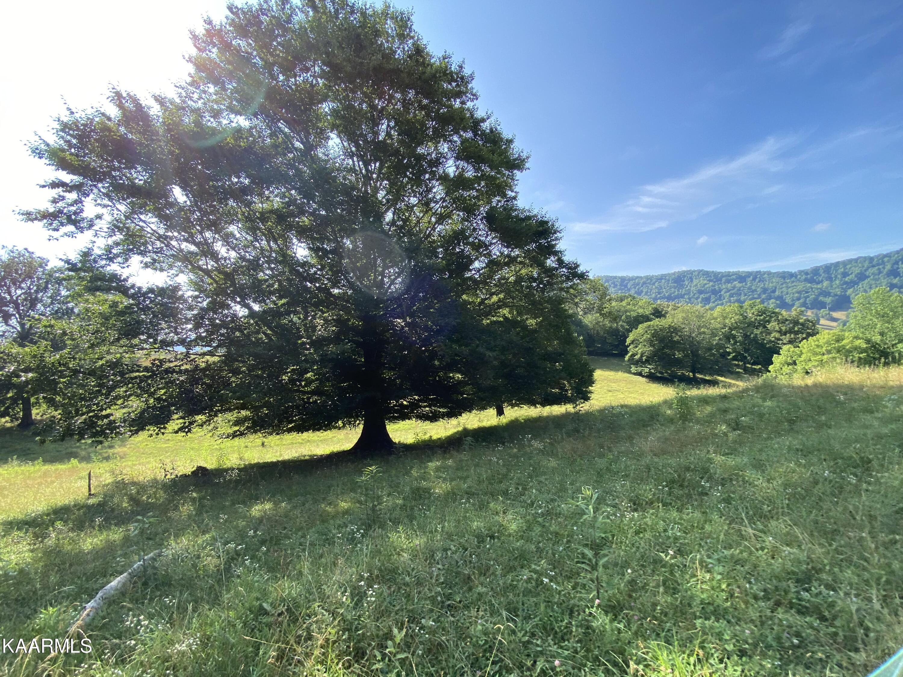 7247 Mulberry Gap Road Tazewell, TN 37879 - Photo 43 of 58 IMG-9241