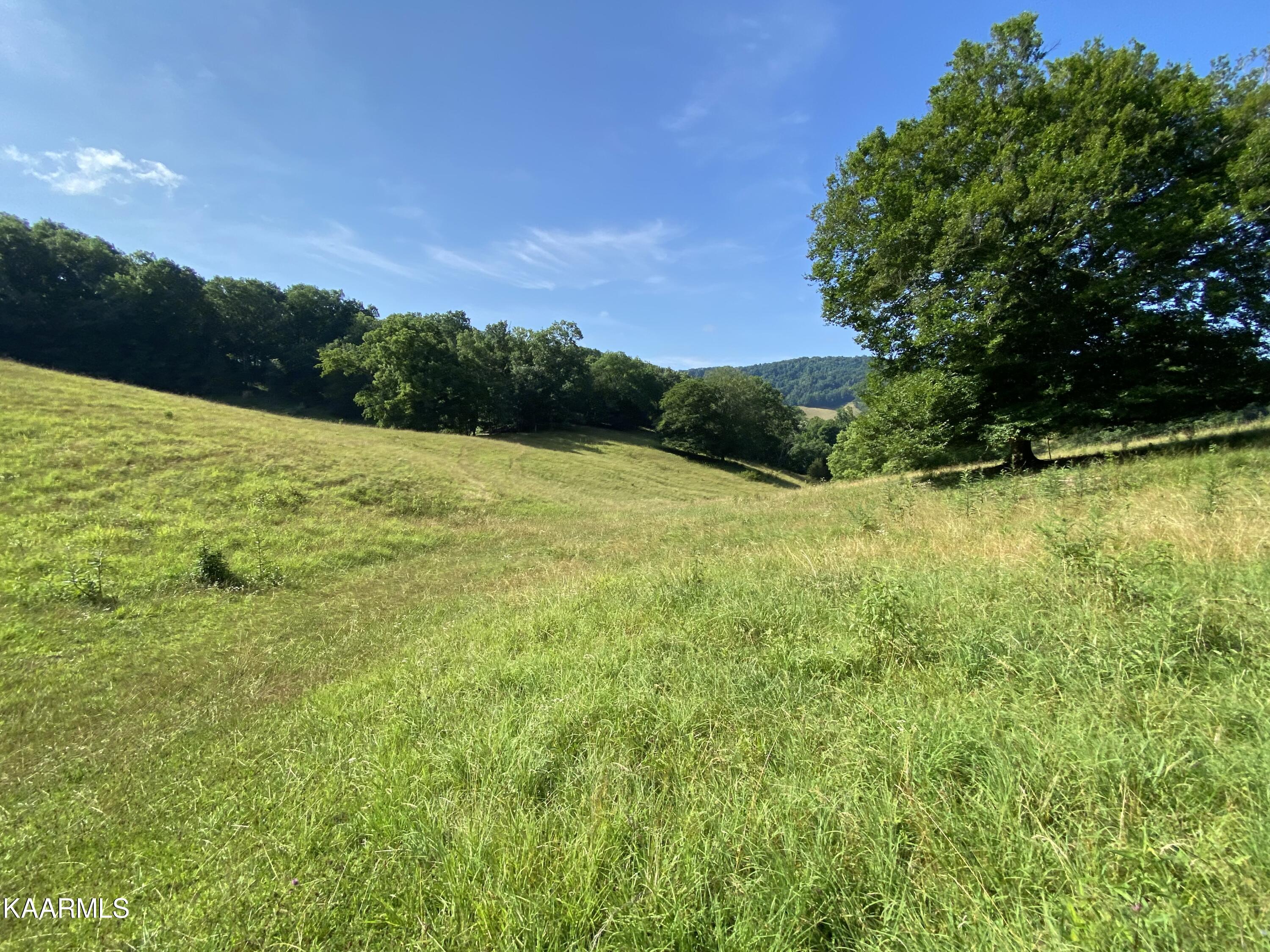7247 Mulberry Gap Road Tazewell, TN 37879 - Photo 44 of 58 IMG-9243