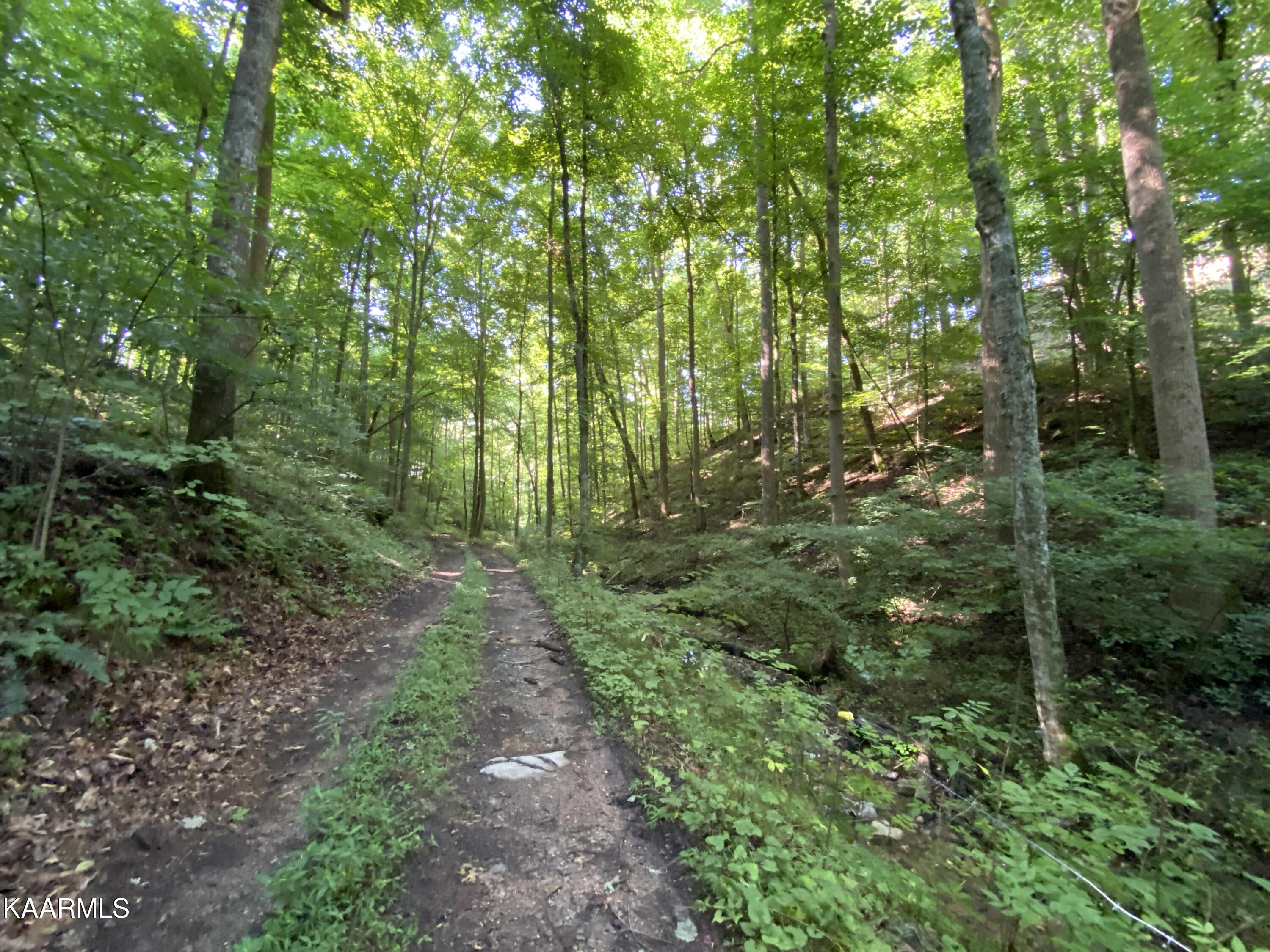 7247 Mulberry Gap Road Tazewell, TN 37879 - Photo 46 of 58 IMG-9263