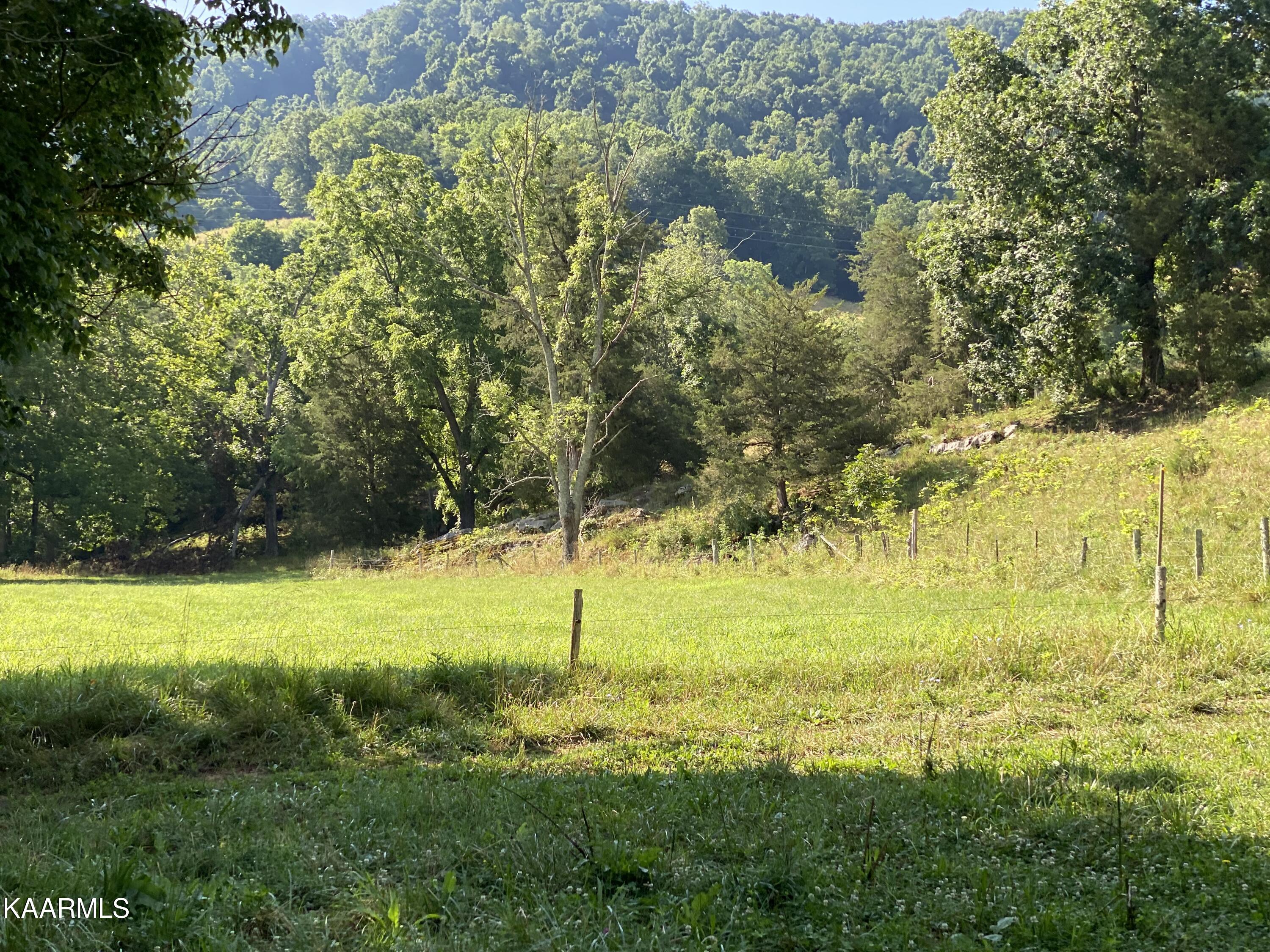 7247 Mulberry Gap Road Tazewell, TN 37879 - Photo 55 of 58 IMG-9302