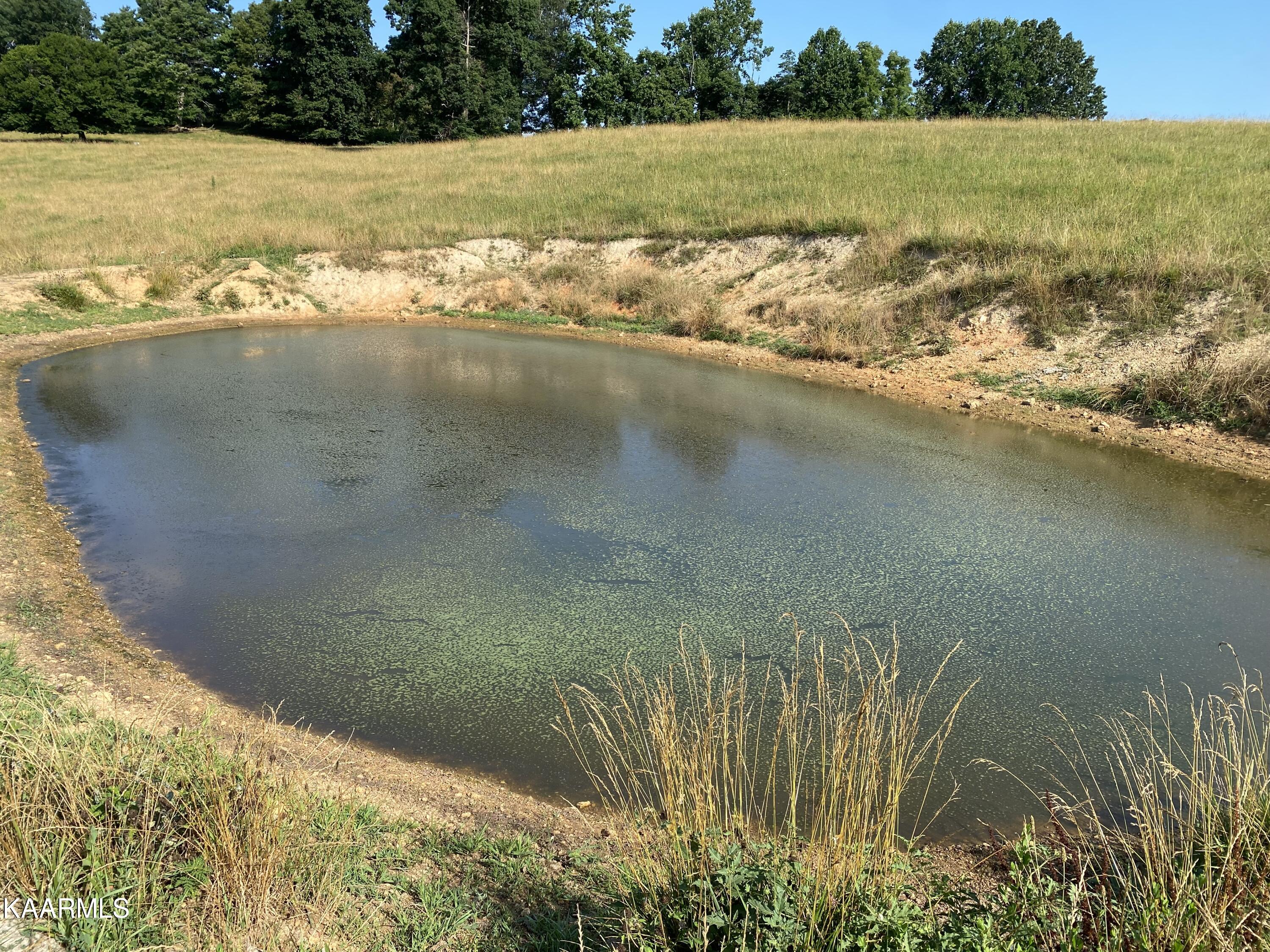 7247 Mulberry Gap Road Tazewell, TN 37879 - Photo 56 of 58 pond