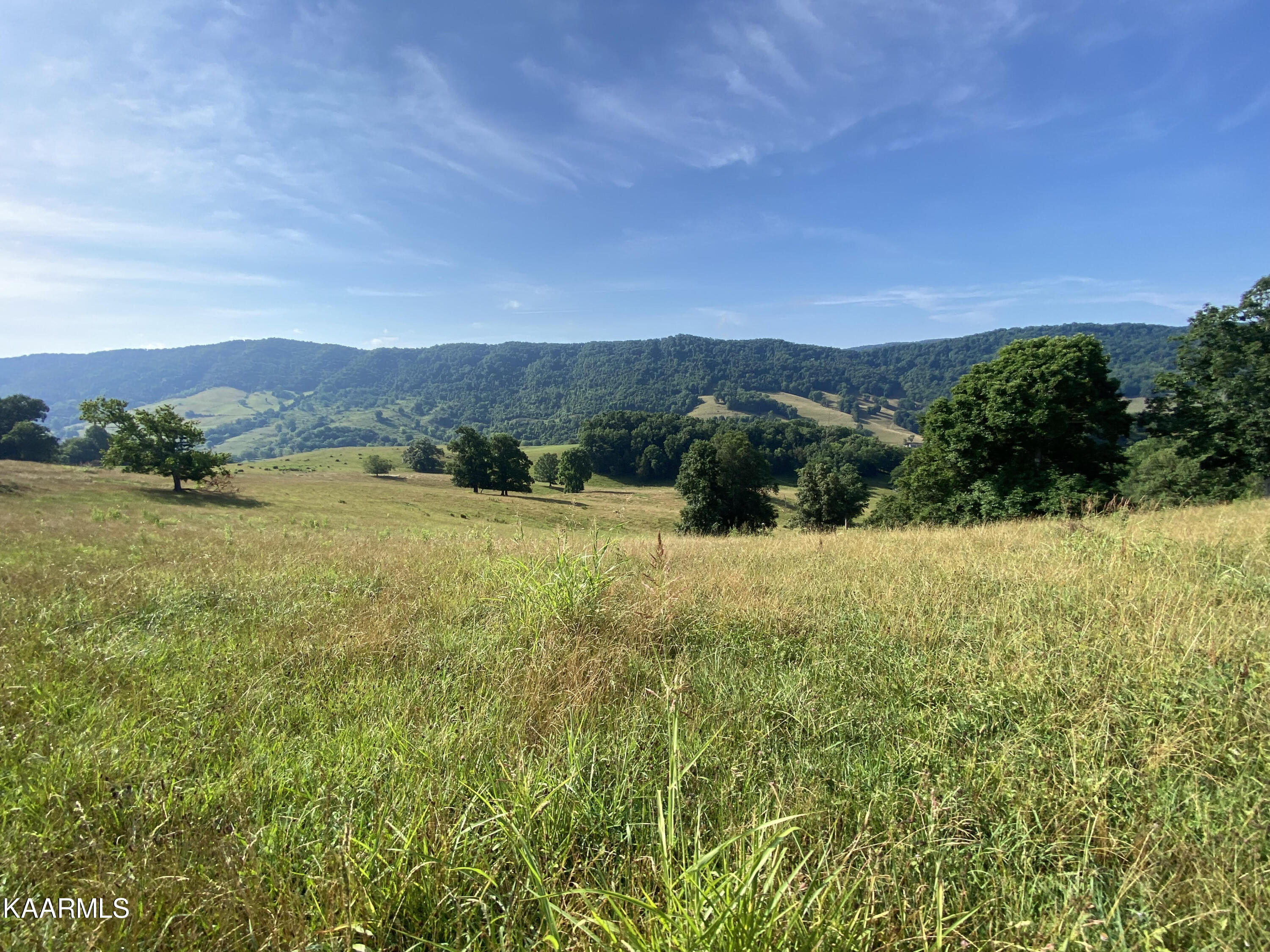 7247 Mulberry Gap Road Tazewell, TN 37879 - Photo 57 of 58 view from farm