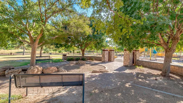 a view of a yard with plants