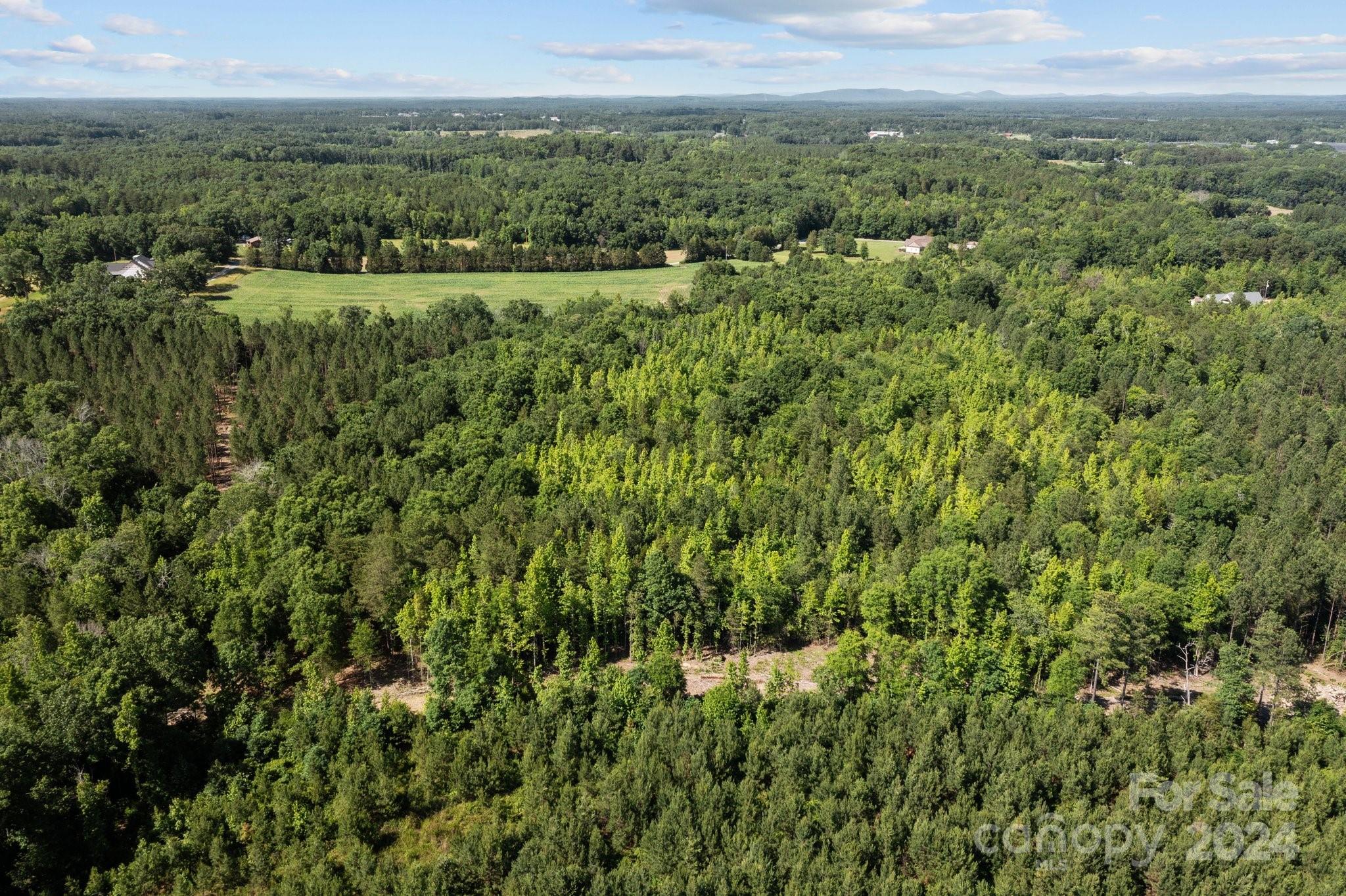 Lot 4 Raggle Road Gold Hill, NC 28071 - Photo 5 of 10 Gallery Image 5
