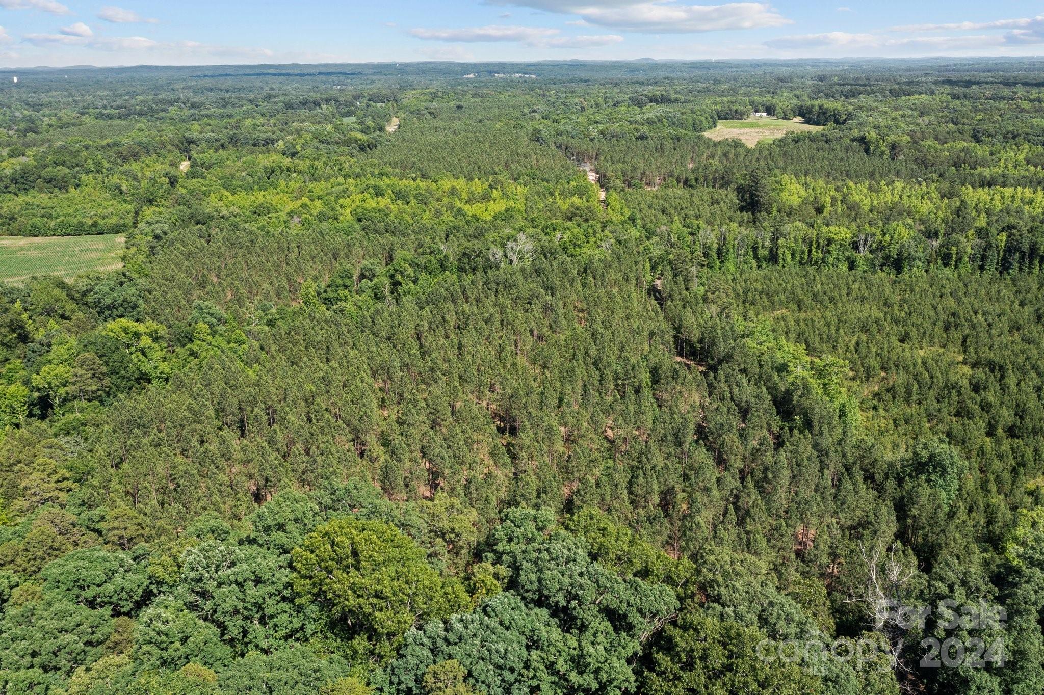 Lot 4 Raggle Road Gold Hill, NC 28071 - Photo 8 of 10 Gallery Image 8