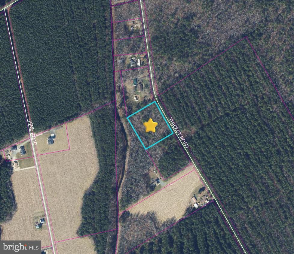 0 Thicket Road Milton, DE 19968 - Photo 2 of 3