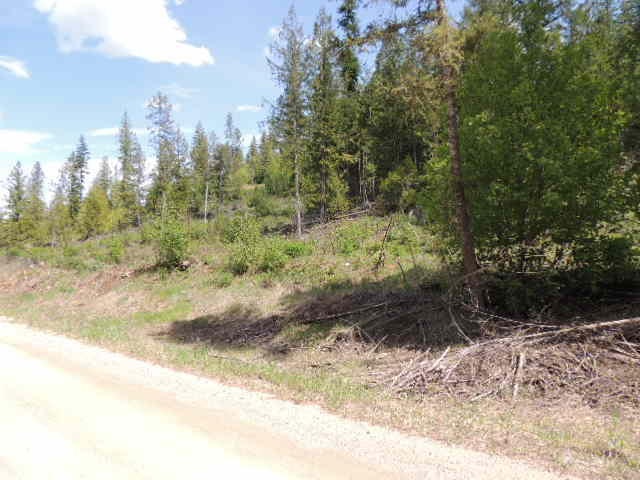 0 Red Marble Road Chewelah, WA 99109 - Photo 1 of 7 Gallery Image 1