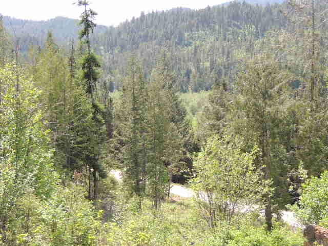 0 Red Marble Road Chewelah, WA 99109 - Photo 2 of 7 Gallery Image 2