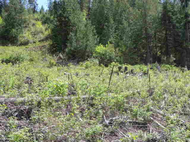 0 Red Marble Road Chewelah, WA 99109 - Photo 4 of 7 Gallery Image 4