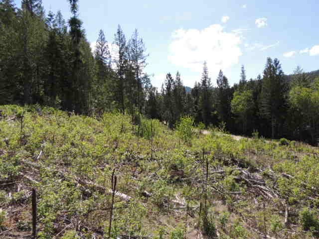 0 Red Marble Road Chewelah, WA 99109 - Photo 5 of 7 Gallery Image 5
