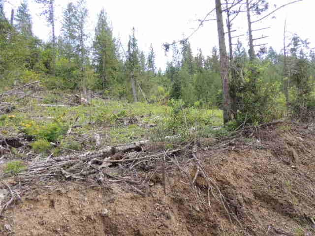 0 Red Marble Road Chewelah, WA 99109 - Photo 6 of 7 Gallery Image 6