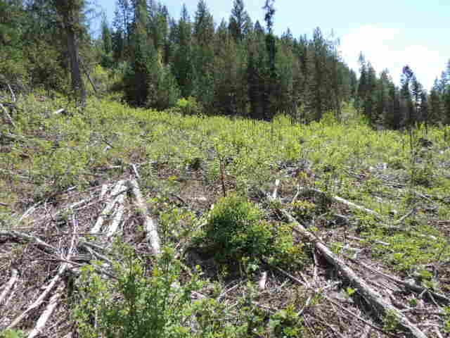 0 Red Marble Road Chewelah, WA 99109 - Photo 7 of 7 Gallery Image 7