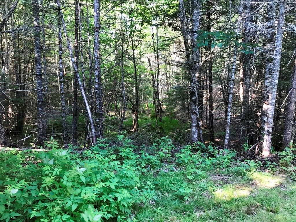 Tbd B&a Railroad North Road North Shirley, ME 04485 - Photo 9 of 22 Photo