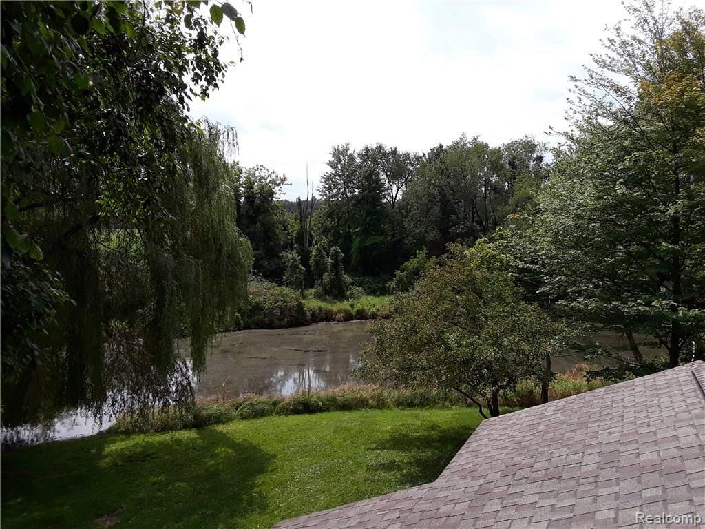 Roof Top Pond View Right.jpg