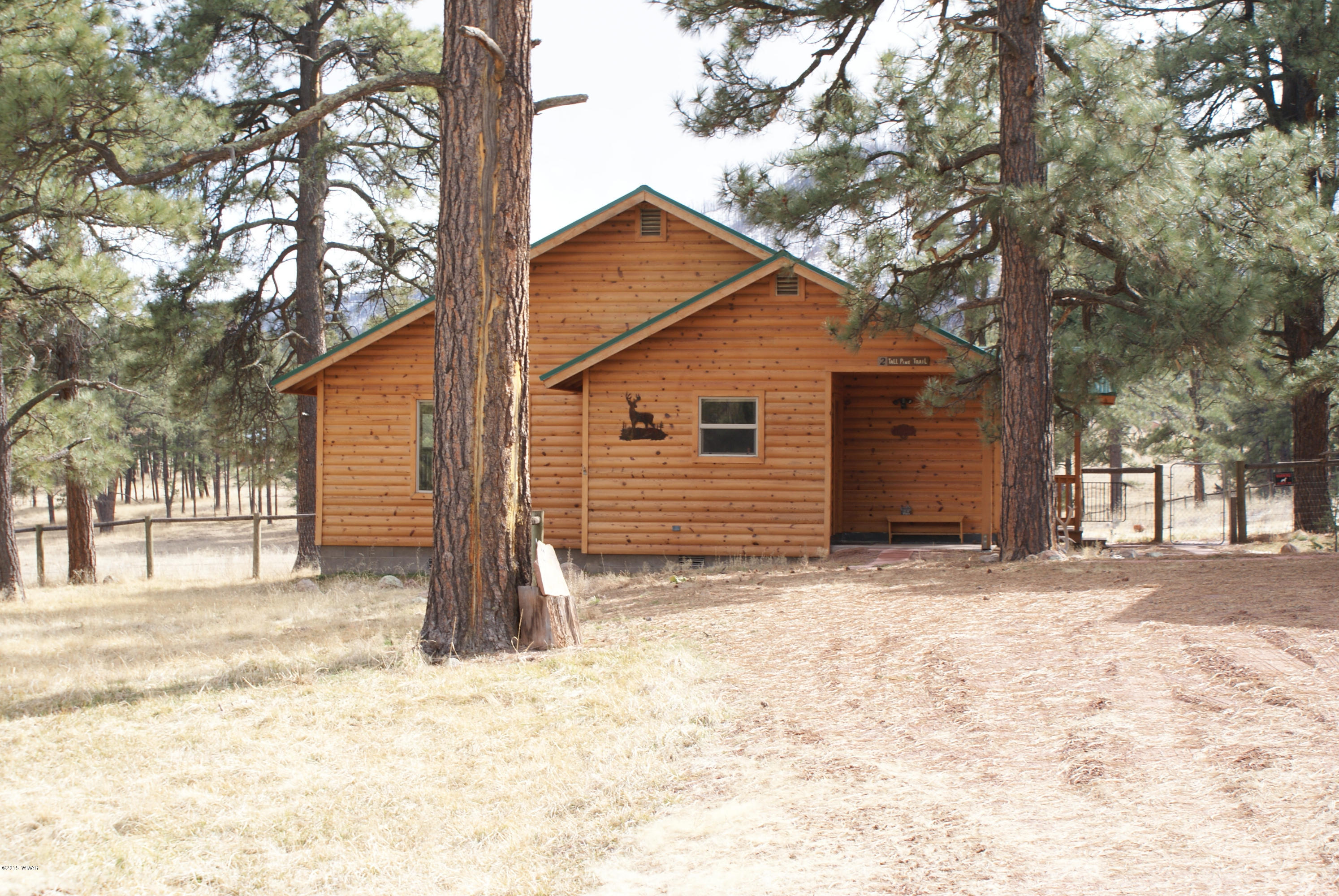 2 Cr Alpine Az 85920 Alpine, AZ 85920 - Photo 34 of 36