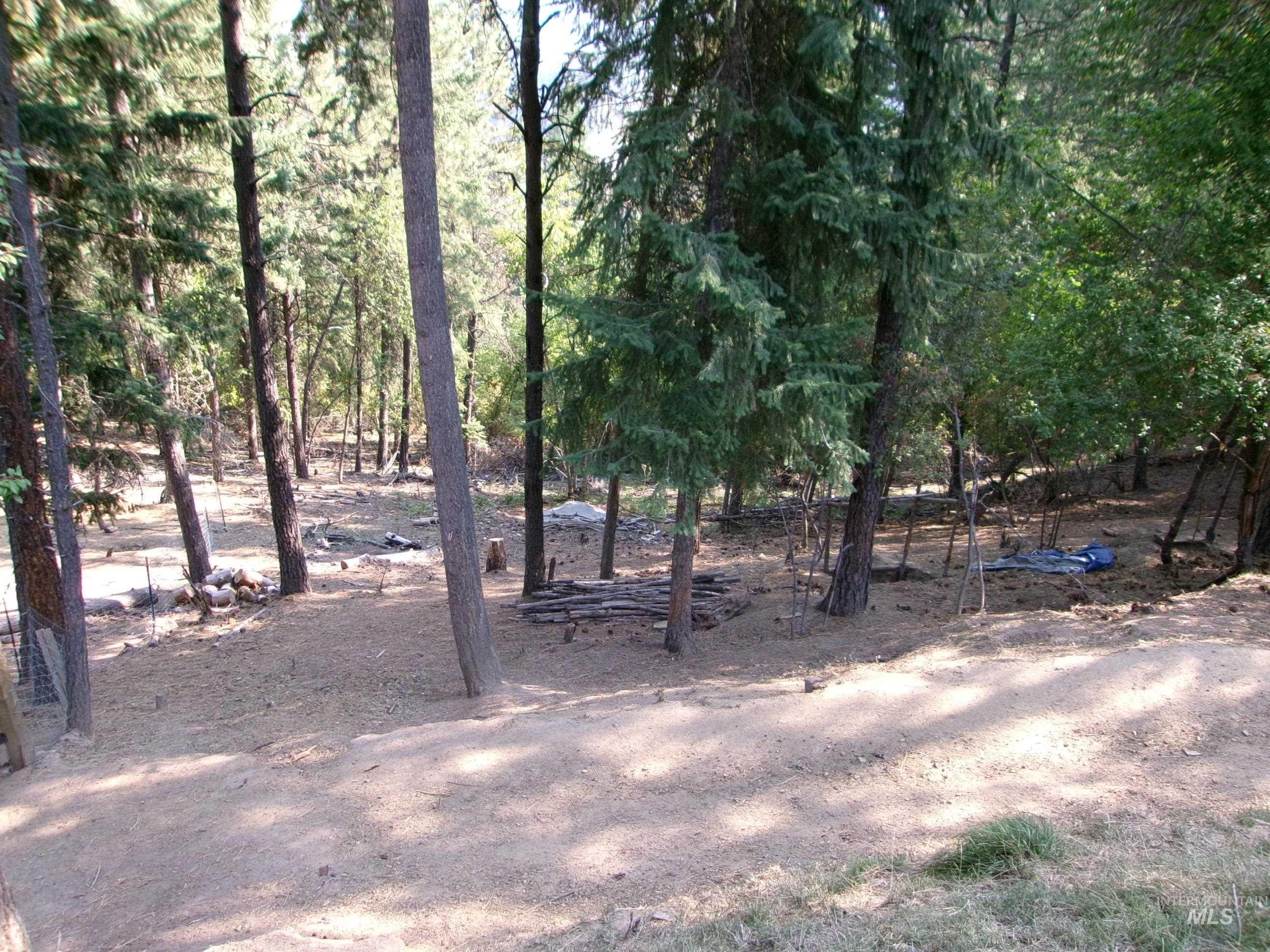 123 Conifer Lane Stites, ID 83552 - Photo 45 of 48