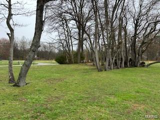 7503 Urbain Road Mulkeytown, IL 62865 - Photo 21 of 29