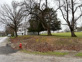 7503 Urbain Road Mulkeytown, IL 62865 - Photo 28 of 29