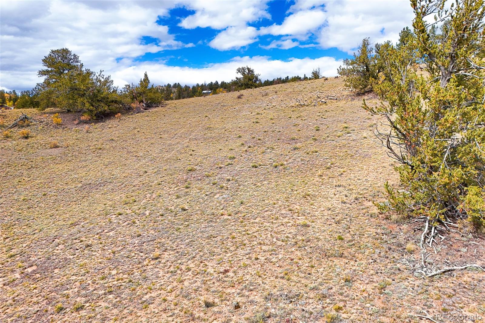 3370 Remington Road Jefferson, CO 80456 - Photo 18 of 41 a view of beach and mountain