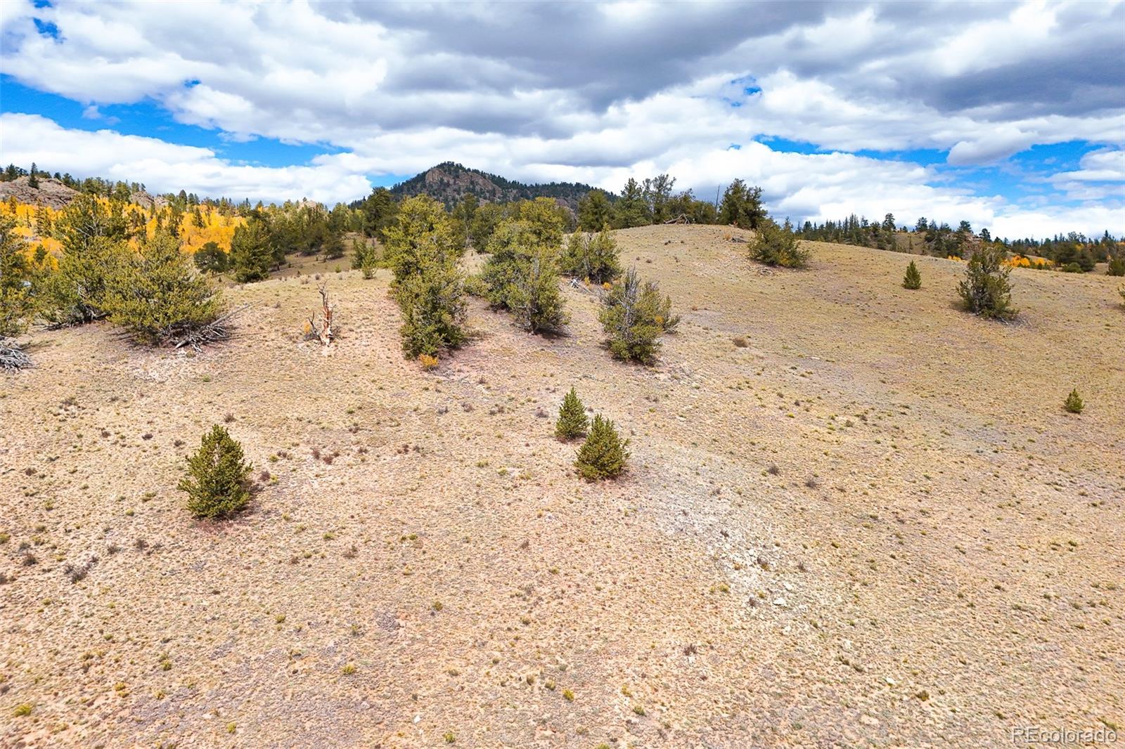 3370 Remington Road Jefferson, CO 80456 - Photo 24 of 41 a view of beach and snow