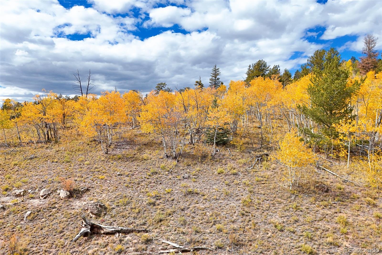 3370 Remington Road Jefferson, CO 80456 - Photo 3 of 41 a view of an ocean