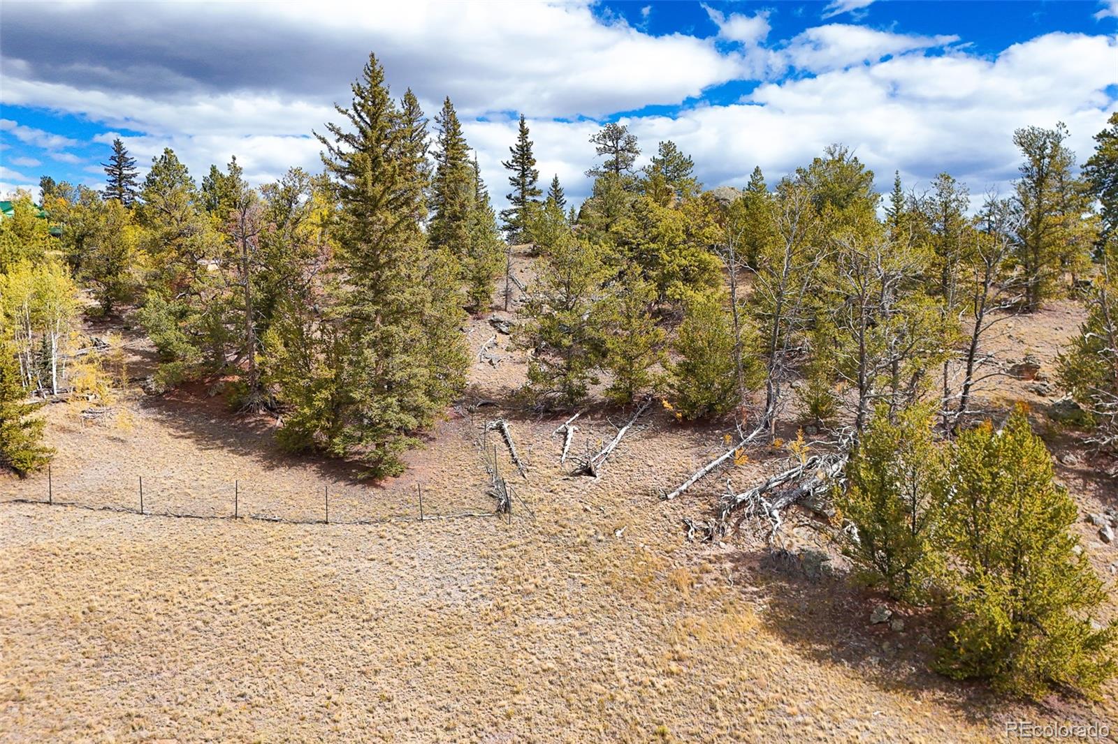 3370 Remington Road Jefferson, CO 80456 - Photo 4 of 41 a view of a yard with trees