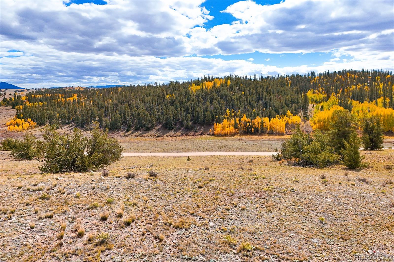 3370 Remington Road Jefferson, CO 80456 - Photo 5 of 41 a view of a yard with snow on