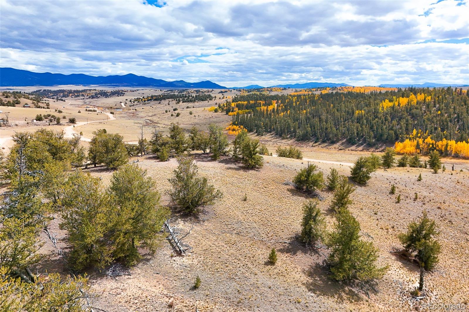 3370 Remington Road Jefferson, CO 80456 - Photo 6 of 41 a view of a yard with wooden fence