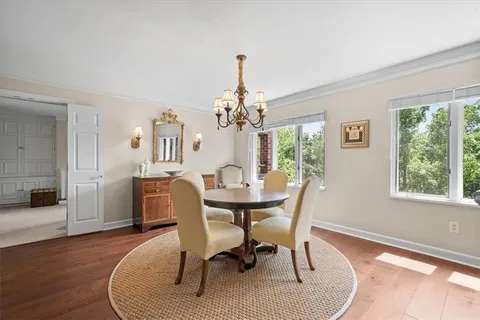 a living room with furniture flowerpot and a chandelier