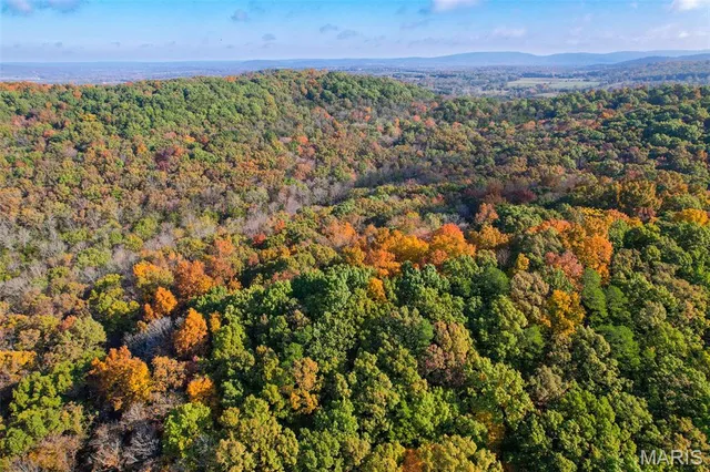 $835,000 | 170 Iron County Road, Belleview, MO 63623