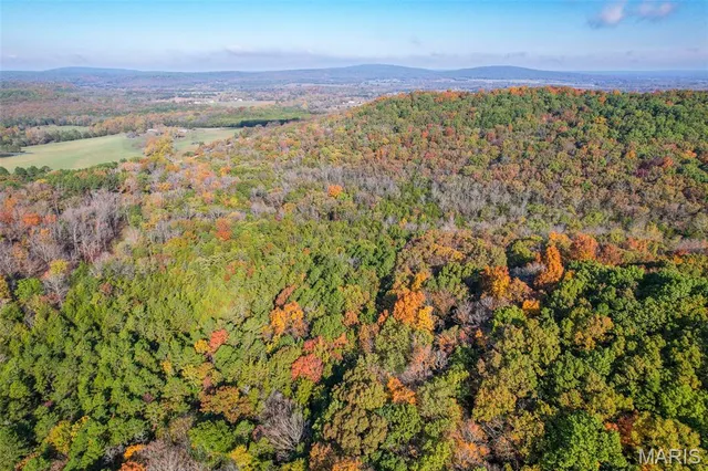 $835,000 | 170 Iron County Road, Belleview, MO 63623