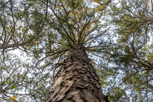 $835,000 | 170 Iron County Road, Belleview, MO 63623