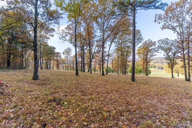 $835,000 | 170 Iron County Road, Belleview, MO 63623