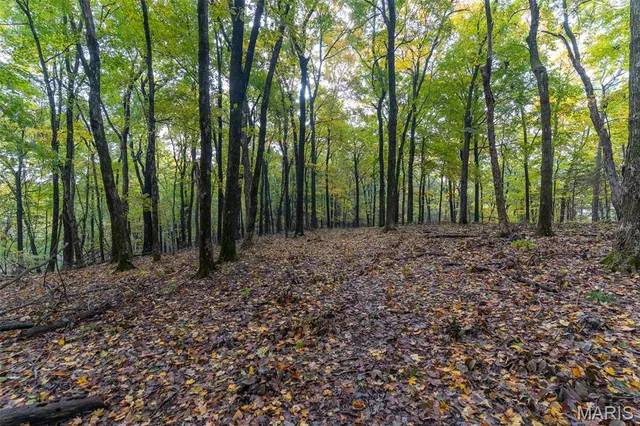 $835,000 | 170 Iron County Road, Belleview, MO 63623