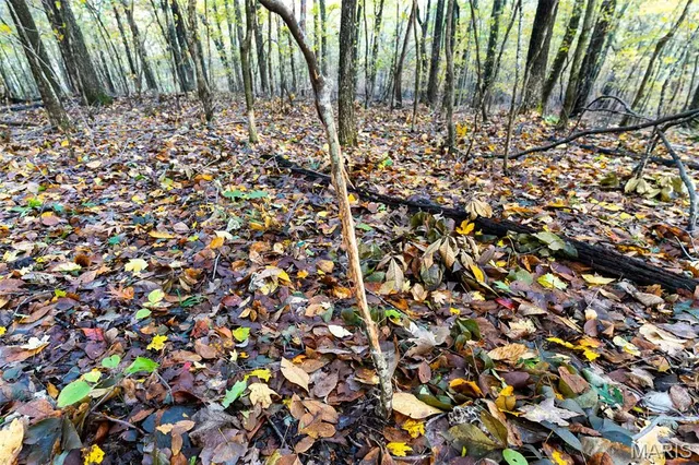 $835,000 | 170 Iron County Road, Belleview, MO 63623