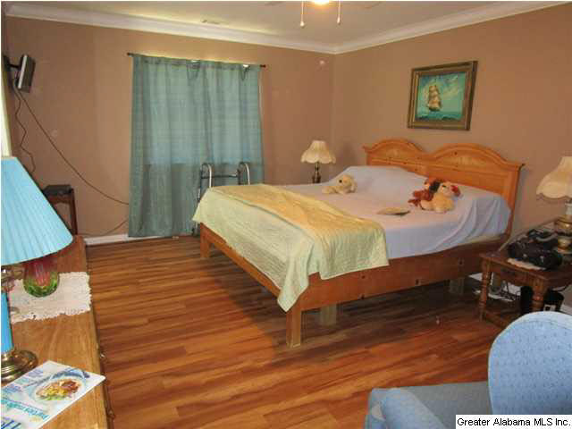 1349 Patton Road Mount Olive, AL 35117 - Photo 13 of 21