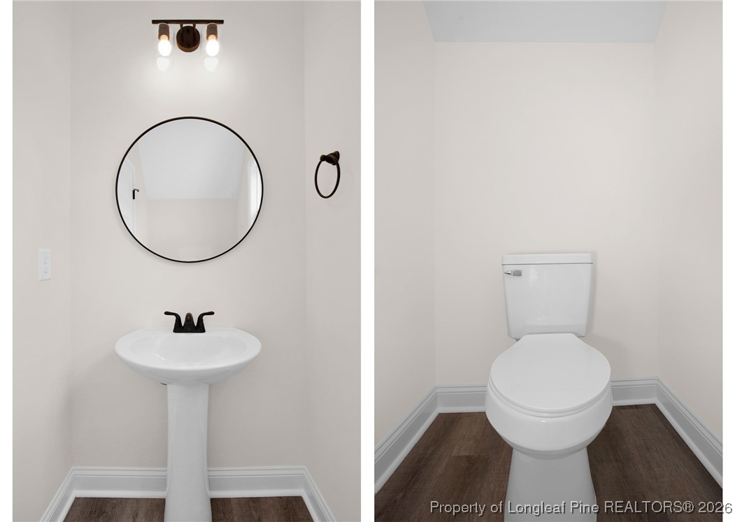 253 Barberry Road Raeford, NC 28376 - Photo 16 of 31 a bathroom with a toilet a sink and a mirror