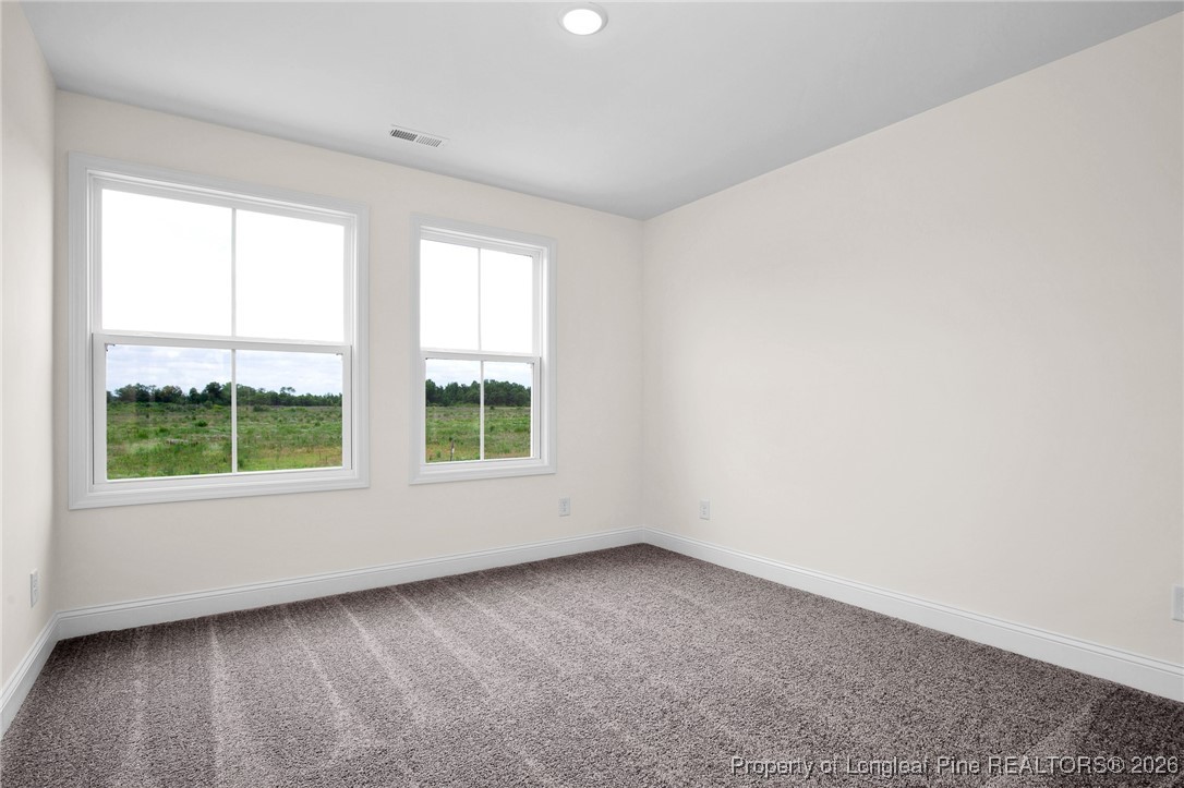 253 Barberry Road Raeford, NC 28376 - Photo 24 of 29