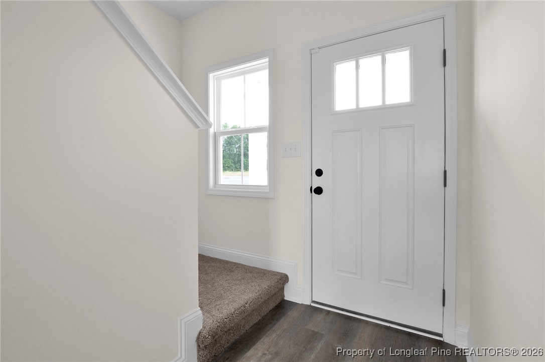 253 Barberry Road Raeford, NC 28376 - Photo 29 of 29