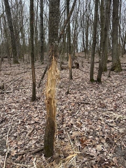 17.75-acres County Rd G Oxford, WI 53952 - Photo 25 of 56
