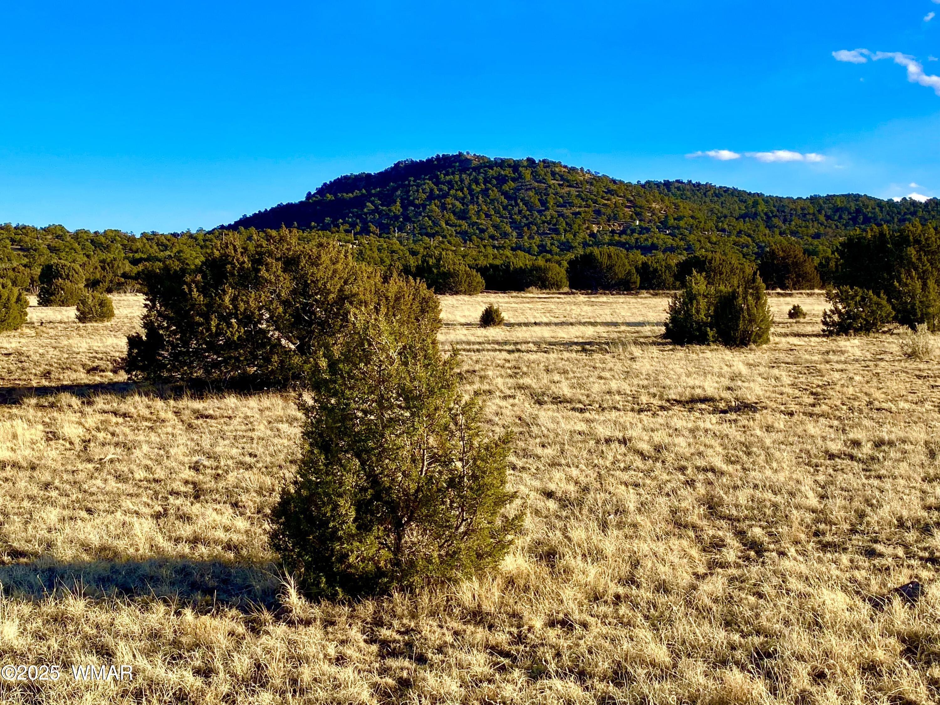 9 Co Road Concho, AZ 85924 - Photo 1 of 26 IMG_8519
